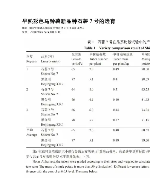 早熟彩色马铃薯新品种石薯7号的选育