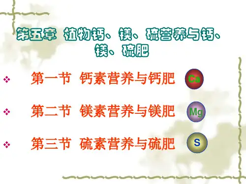 第五章 钙肥、镁肥及硫肥