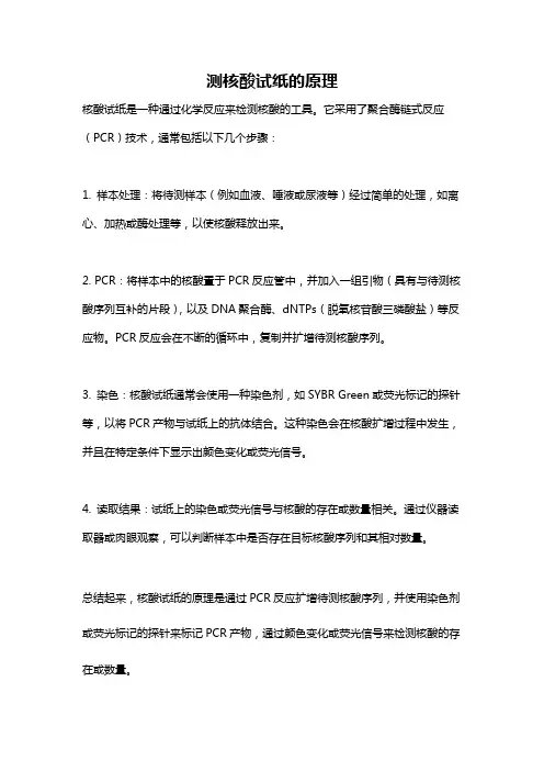 测核酸试纸的原理