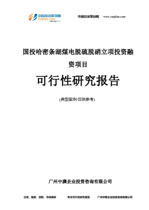 国投哈密条湖煤电脱硫脱硝融资投资立项项目可行性研究报告(中撰咨询)