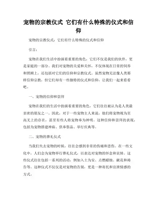宠物的宗教仪式  它们有什么特殊的仪式和信仰