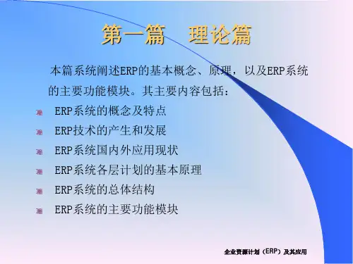 ERP系统概述ppt48页5413
