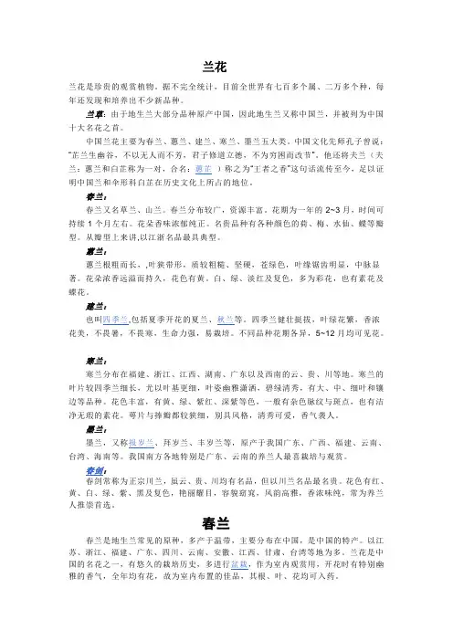 兰花品种分类