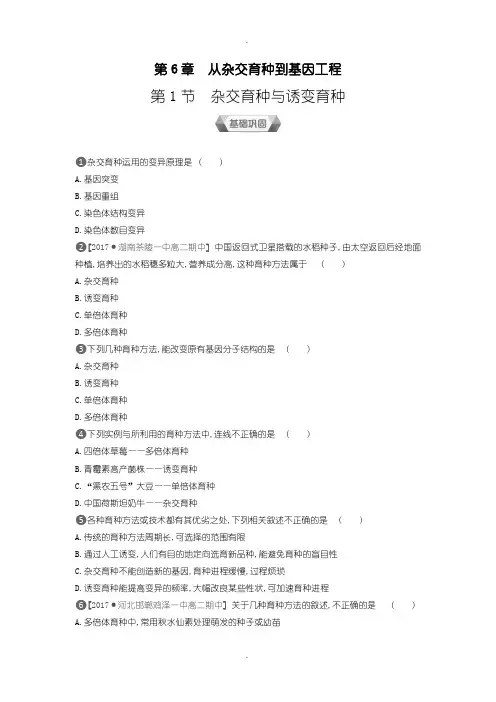 人教版生物必修2练习:第6章第1节杂交育种与诱变育种含答案