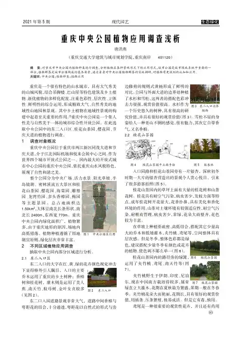 重庆中央公园植物应用调查浅析