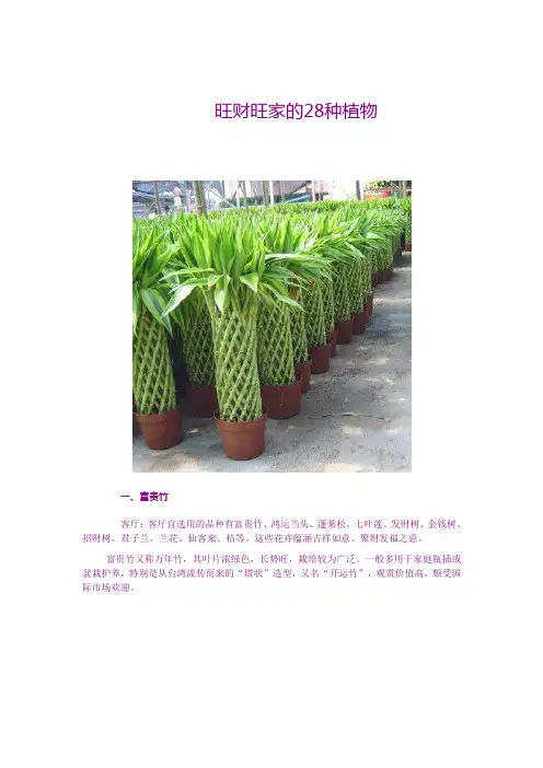 旺财旺家的28种植物