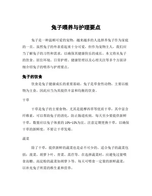 兔子喂养与护理要点
