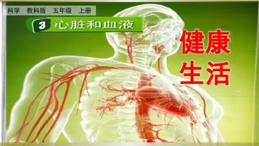 教科版五年级科学上册《心脏和血液》优质课件