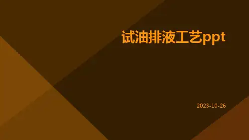 试油排液工艺ppt
