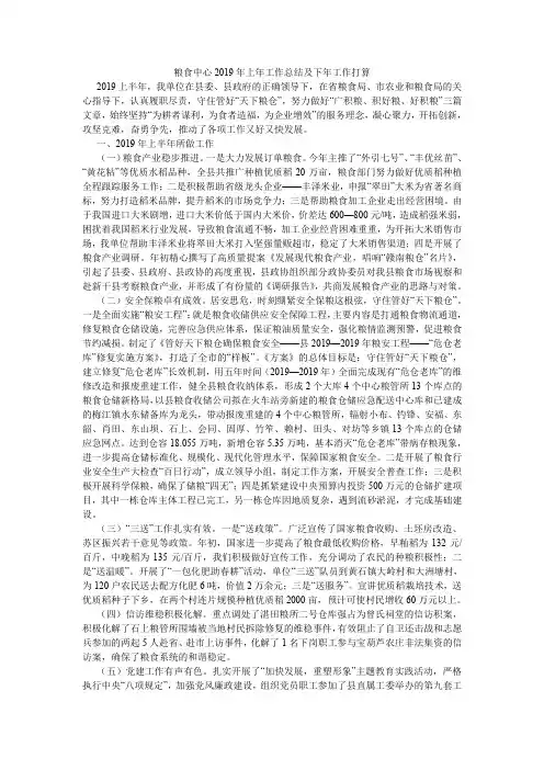 粮食中心2019年上年工作总结及下年工作打算