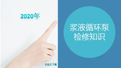 浆液循环泵检修知识