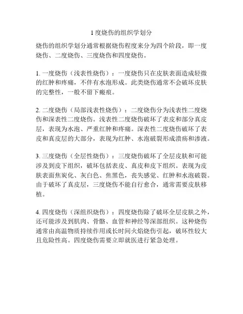 1度烧伤的组织学划分