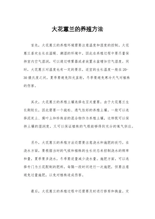 大花蕙兰的养殖方法