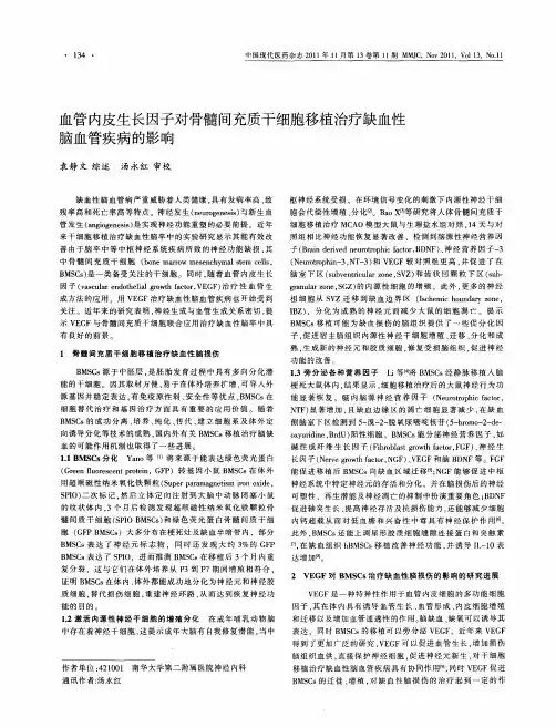 血管内皮生长因子对骨髓间充质干细胞移植治疗缺血性脑血管疾病的影响