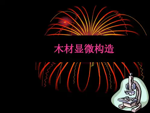 木材显微构造