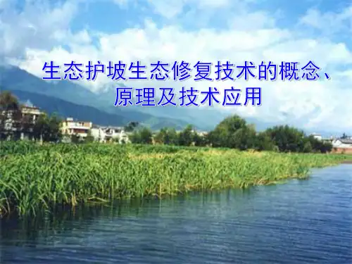 生态护坡生态修复技术的概念、原理及技术应用