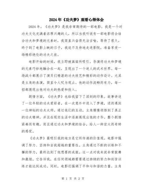 2024年《功夫梦》观看心得体会