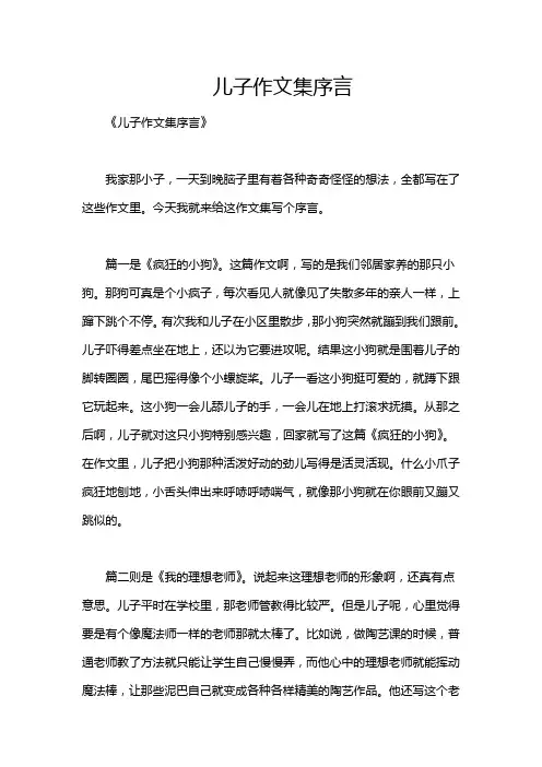 儿子作文集序言