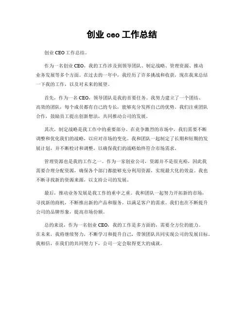 创业ceo工作总结