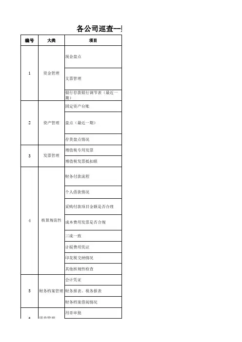 财务管理部巡查项目明细表