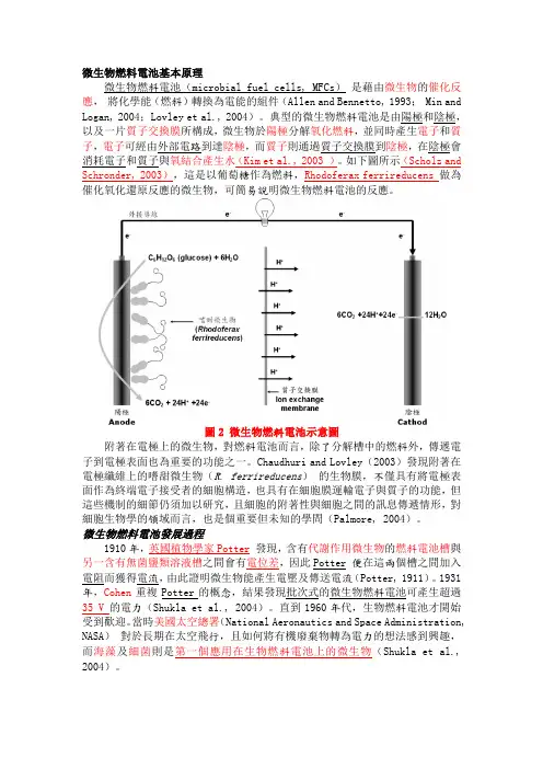 微生物燃料电池基本原理