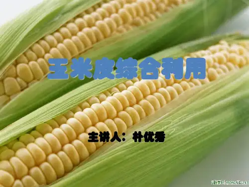 玉米的综合利用 玉米皮的综合利用