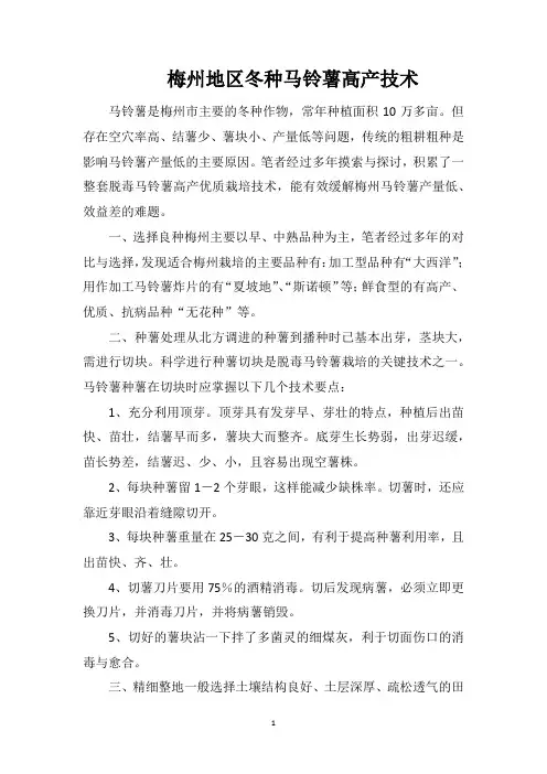 梅州地区冬种马铃薯高产技术