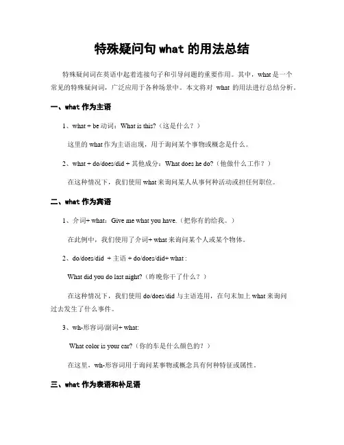 特殊疑问句what的用法总结 (2)