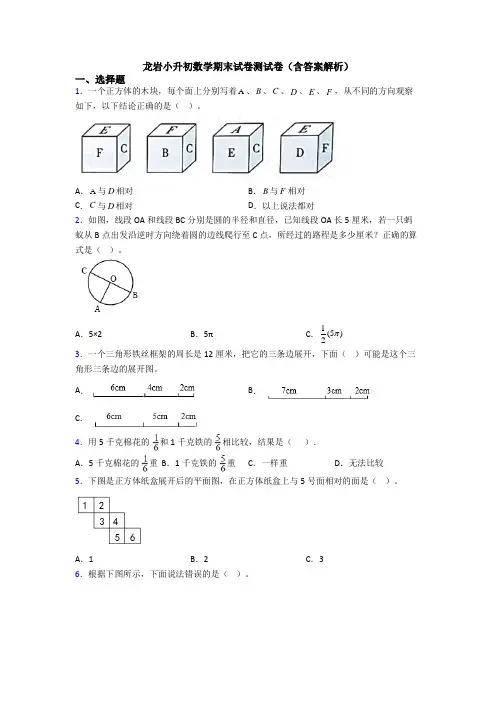 龙岩小升初数学期末试卷测试卷（含答案解析）