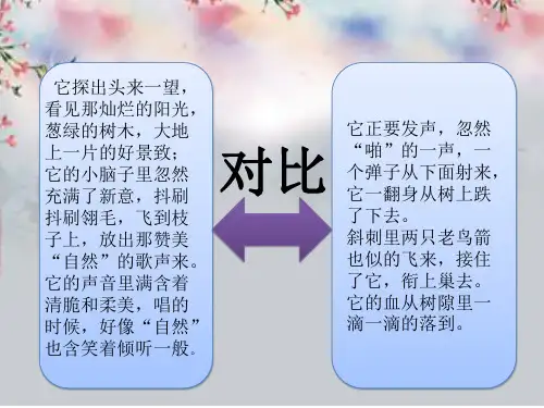 小学三年级语文《一只小鸟》教学课件