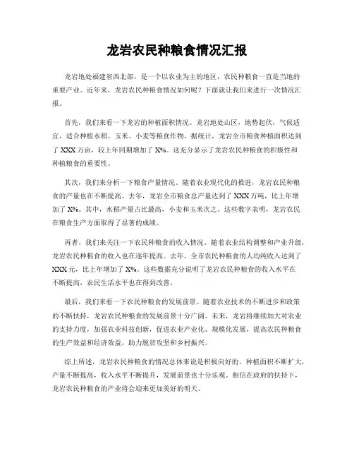 龙岩农民种粮食情况汇报