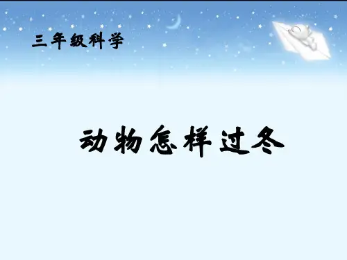 《动物怎样过冬》优质课件PPT