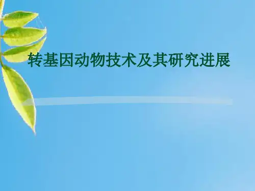 转基因动物技术及其研究进展PPT教学课件