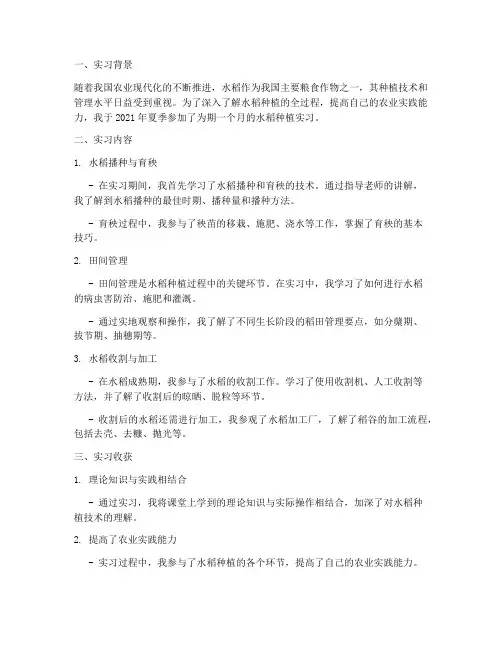 水稻实习报告范文