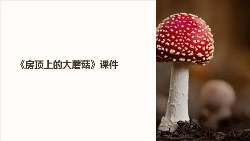 《房顶上的大蘑菇》课件