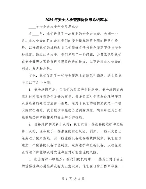 2024年安全大检查剖析反思总结范本