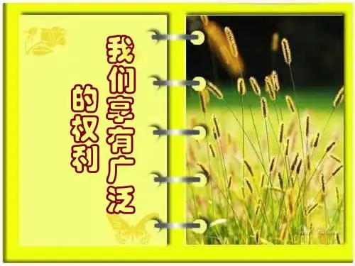 1.2我们享有广泛的权利