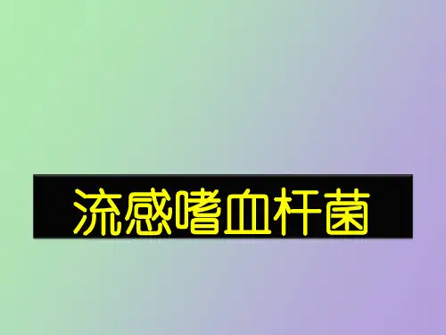流感嗜血杆菌