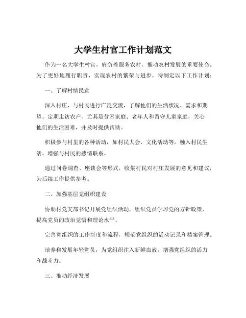 大学生村官工作计划范文