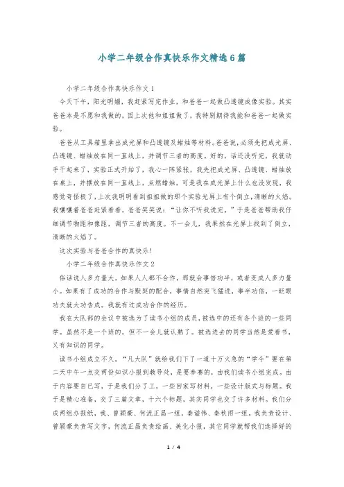 小学二年级合作真快乐作文精选6篇