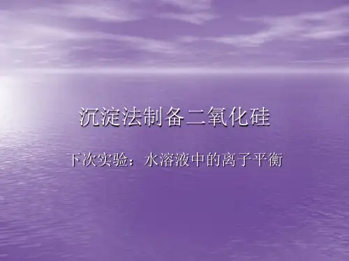 沉淀法制备二氧化硅.