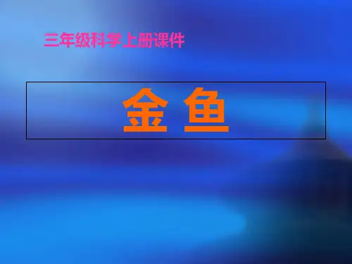 教科版科学三上《金鱼》PPT课件2