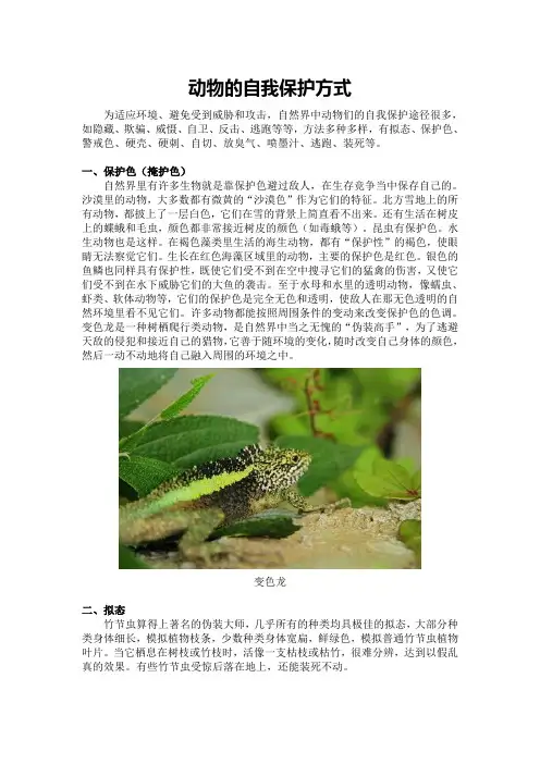 动物的自我保护方式