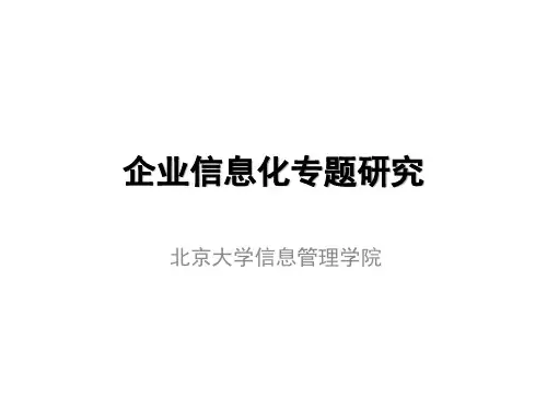 企业信息化概述PPT课件