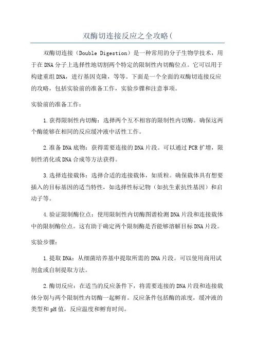 双酶切连接反应之全攻略(