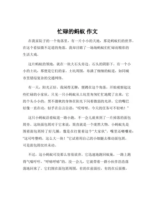 忙碌的蚂蚁 作文