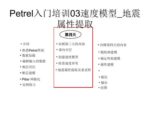 Petrel入门培训03速度模型_地震属性提取