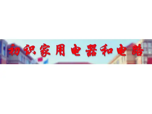 苏科版物理九年级上册13.1初识家用电器和电路 课件优秀课件PPT