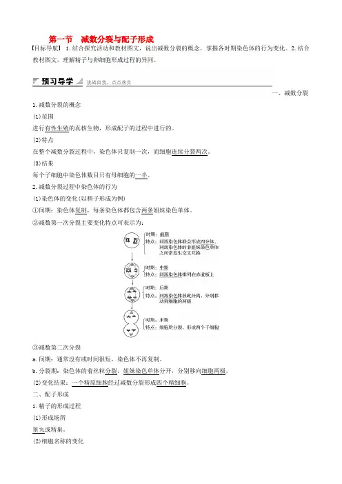 高中生物1.1.1减数分裂与配子形成学案中图版必修2
