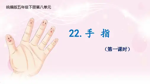 《手指》ppt课件